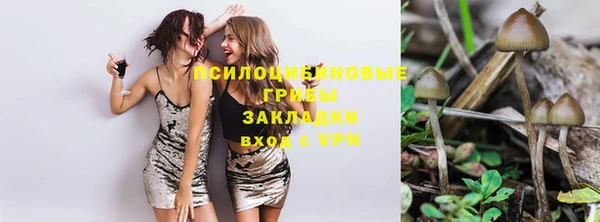гидра Нея