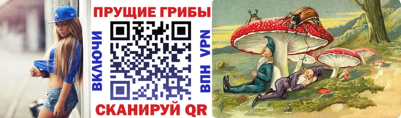 купить наркоту Тетюши Псилоцибиновые грибы Psilocybe